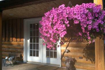 هتل Denali Fireside Cabin & Suites