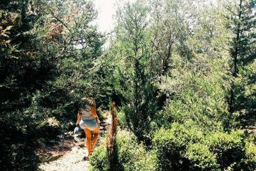 Sezar Hotel Qeparo