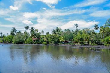 پانسیون The Mangroves Villa Ahangama