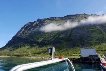 Northern Light Hotell/camp Steinfjord