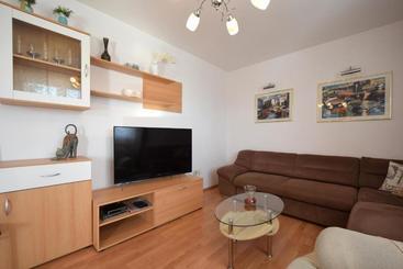 Apartment Micetic