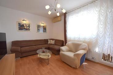 Apartment Micetic