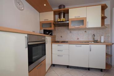 Apartment Micetic