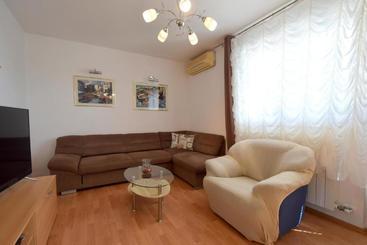 Apartment Micetic