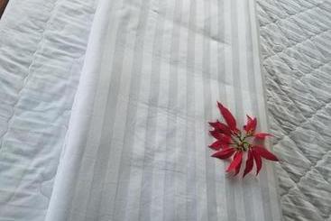 Lam Phan Hotel Villa