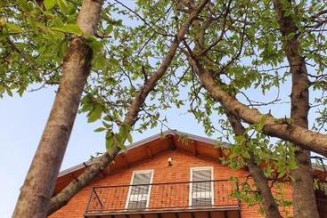 Pension Borealis Guest House