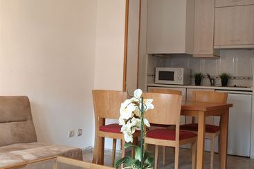 Stylish City Apartamentos