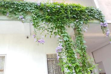 پانسیون Abha Family Friendly Apartment