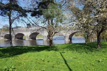 هتل Lion  Builth Wells