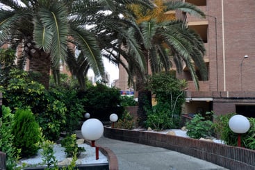 Apartamentos Trebol