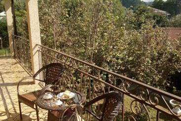 پانسیون Guest House Mihalych