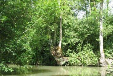تختخواب و صبحانه Au Logis Du Marais Sauvage