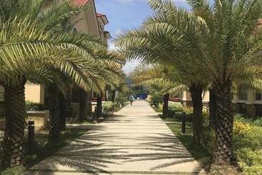 San Remo Oasis Cebu Citystudio Type Condo