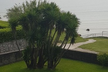 Apartamentos Salceda