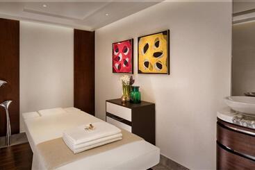 فندق The Ritzcarlton, Budapest