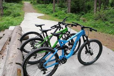 White Lavina   Ski, Bike, Hike