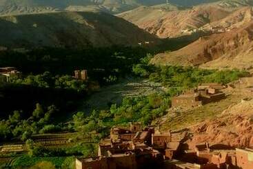هتل Aramja Luxury Camp