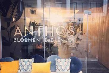 Anthos B&b