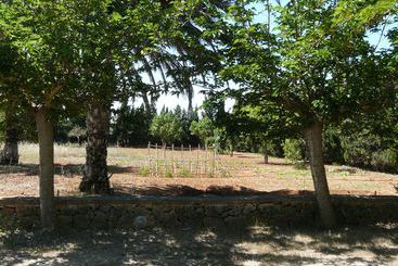 هتل روستایی Finca Es Palmer