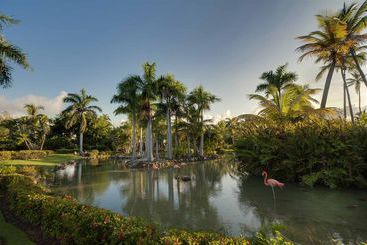 هتل Meliá Caribe Tropical Beach & Golf Resort