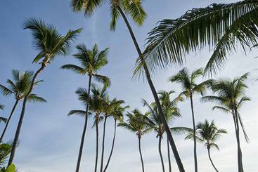 هتل Meliá Caribe Tropical Beach & Golf Resort