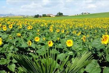 Country House  La Tana Della Lepre