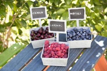 فندق ريفى Agriturismo Rossolampone