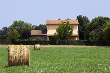 Agriturismo Ferento E Il Castagno