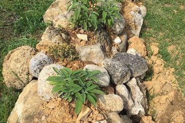 هتل روستایی Agriturismo Il Bardellino