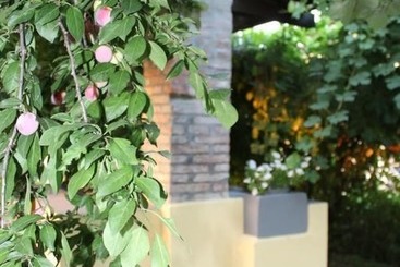B&b Il Pozzo