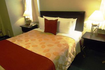 هتل Leon De Oro Inn & Suites