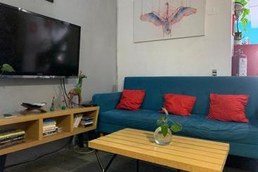 پانسیون Monkey Safari Hostel
