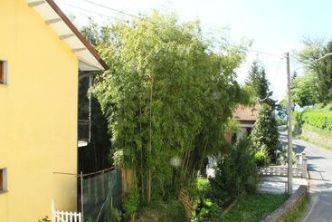 Traditional Cottage With Terrace, Garden Furniture, Barbecue