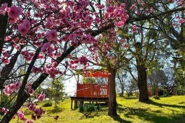 汽车旅馆  Poplars Inn Mittagong