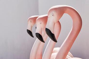 בית מלון כפרי Nikki Beach Resort & Spa Santorini