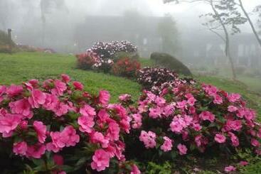 هتل Spring Garden
