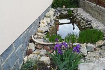 Nárcisz B&b