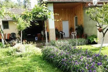 펜션 Divna Guest House