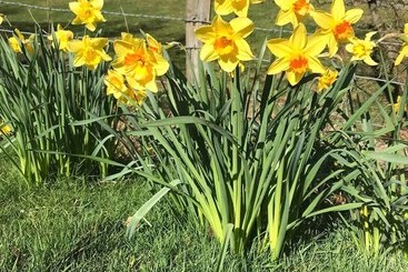 Cwm Chwefru Holiday Cottages