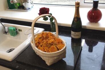 Darwin Cottage Self Catering In Elgin