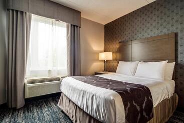 هتل Monte Carlo Inn Brampton