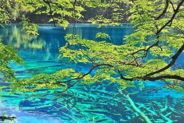 هتل Sheraton Jiuzhaigou Resort