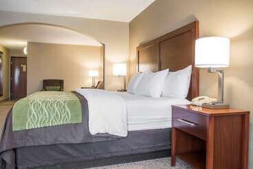 هتل Comfort Inn Edinburg South