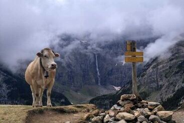 Hotel Hôtel Vignemale