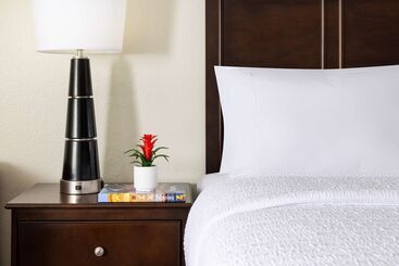 فندق Hampton Inn Naples Central