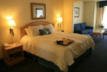 هتل Hampton Inn & Suites San Jose