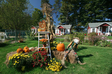 هتل Old Red Inn & Cottages