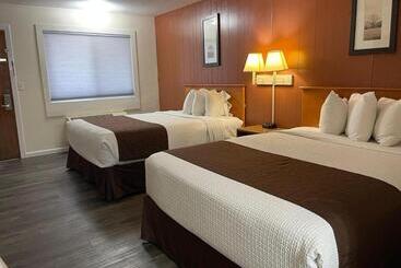 ホテル Sparta Inn