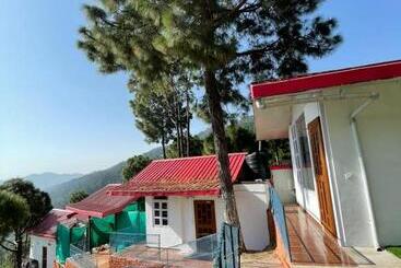 Отель Popping Pines Resort
