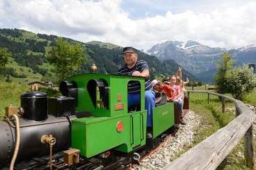 هتل Alpen Résidence